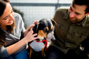 Dogs And Relationships: Can A Dog Influence How Your Partner Feels About You?